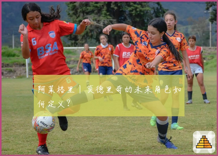 阿莱格里丨莫德里奇的未来角色如何定义？